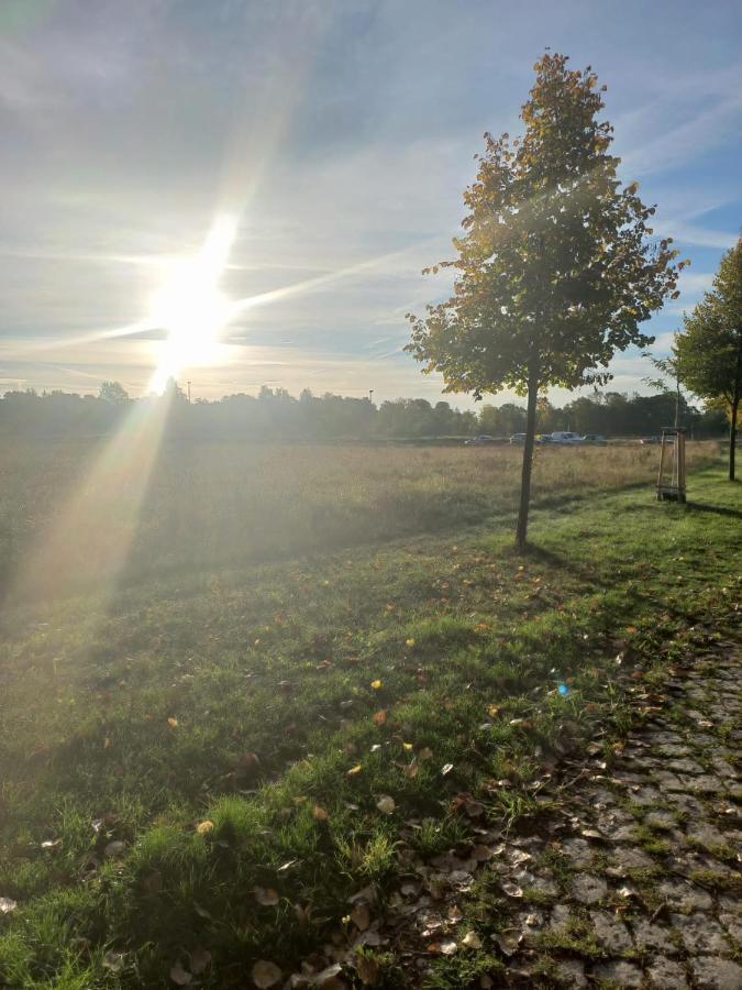 Pension Am Rosental Merseburg Buitenkant foto